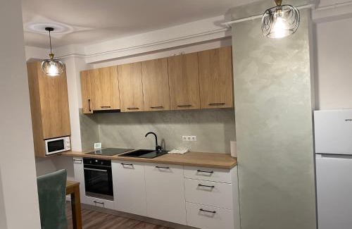 Baia Mare Apartment | Spacemax