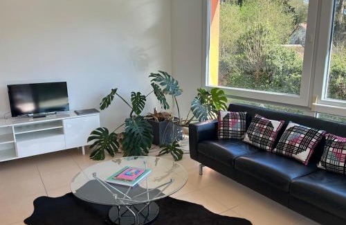 Mulhouse Apartment | Spacieux appartement de deux chambres
