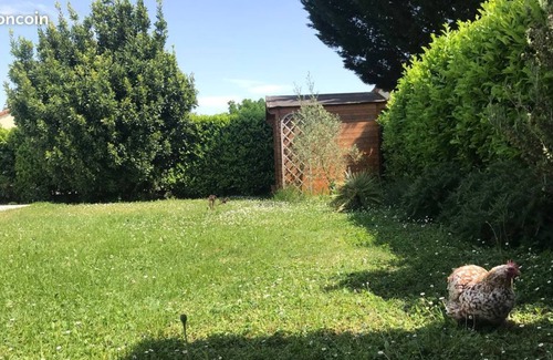 L'Union Apartment | Spacieux T3 rez de Jardin Avec Piscine - 4 Personnes