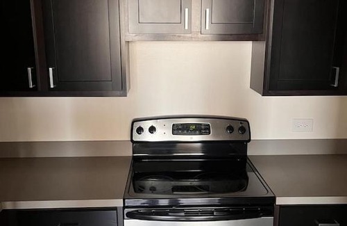 West Loop Gate Apartment | Spacious 1 BDR Apartment