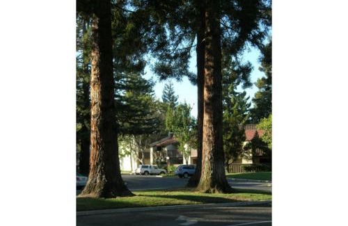 Sunnyvale Apartment | Spacious 2 bedroom 2 bath condo in the heart of Silicon Valley