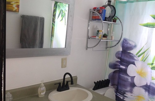 Sauk Village House | Spacious 4 bedroom ranch home. Near Chicago