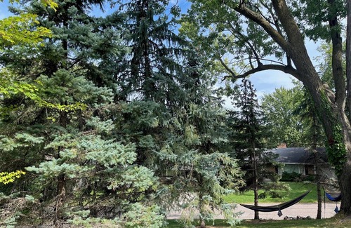 Edina House | Spacious 5-bedroom house in lovely Minneapolis/Edina border