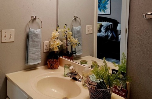 Columbia House | Spacious and cozy newly remodeled basement apartment centrally located