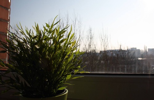 Marienthal Ost Apartment | Spacious apartment for up to 3 guests in the center of Zwickau