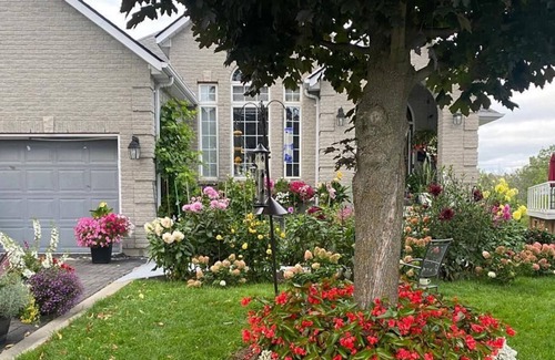 Amherstview House | Spacious Basement Suite .