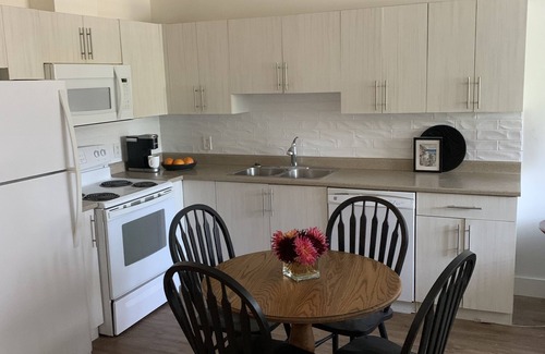 Saanich East Apartment | Spacious, bright, newly renovated PET friendly suite