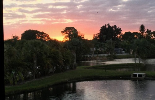 Gulf Gate Estates Condo | Spacious condo with beautiful views, 2 miles from Siesta Key