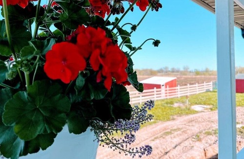 La Plata Other | Spacious farmhouse lodge on 46 acres w/pond. Escape the city, relax on the farm!