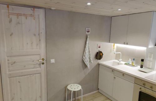 Etu-Toolo Apartment | Spacious ground-floor apartment in Etu-Töölö