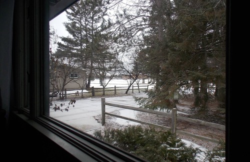 Kalkaska House | Spacious Home near Trails & Attractions