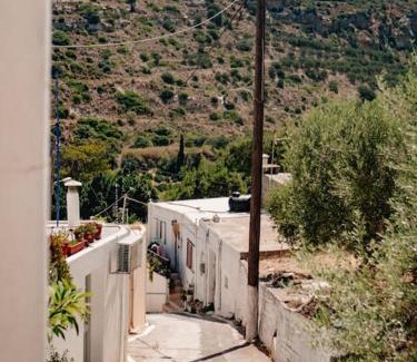 Maronia Villa | Spacious house on the olive grove Sitia