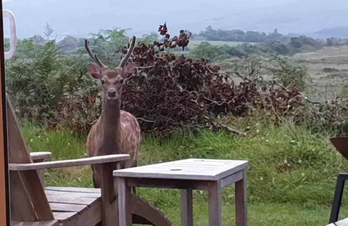 Killorglin House | Spacious idyllic wooded Ring of Kerry 4 bedroom retreat - Epic Views and Gardens