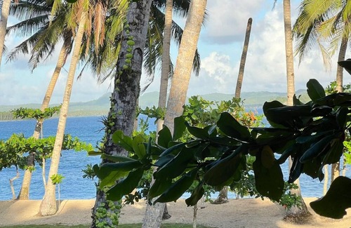 Catangnan Villa | Spacious native style house right on your own secluded beach.