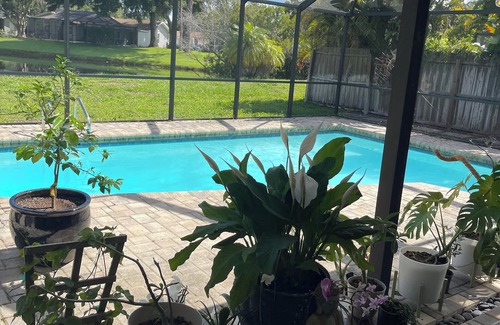Greater Northdale House | Spacious Oasis! Glistening Pool, Pond, and Wildlife Views!