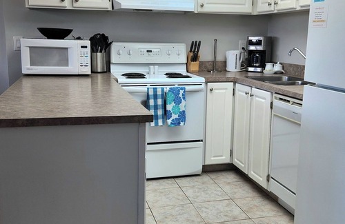 Red Deer Condo | Spacious One Bedroom Condo Great Location in Red Deer in Clean Quiet Building