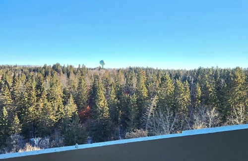 Red Deer Condo | Spacious One Bedroom Condo Great Location in Red Deer in Clean Quiet Building