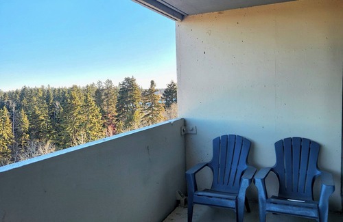 Red Deer Condo | Spacious One Bedroom Condo Great Location in Red Deer in Clean Quiet Building