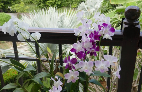 Ko Lanta Apartment | Spacious Sea View Villa with Jacuzzi and pool shared