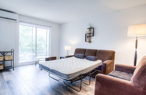 Mercier-Hochelaga-Maisonneuve Condo | Spacious well decorated 3BR just beside Metro