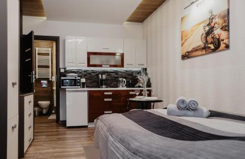 Klodzko Miasto Apartment | Spadzista 2