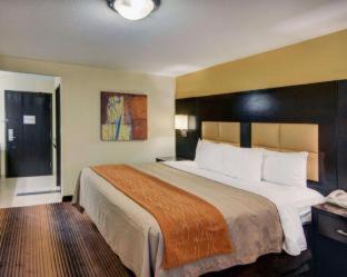 Grapevine Hotel | Spark By Hilton Grapevine DFW North
