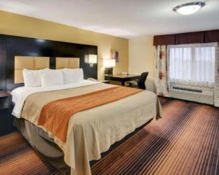 Grapevine Hotel | Spark By Hilton Grapevine DFW North