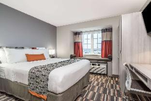Rochester Hotel | Spark by Hilton Rochester South