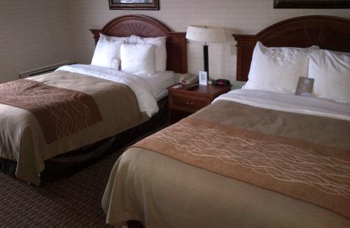 Markham Hotel | Spark By Hilton Toronto Markham