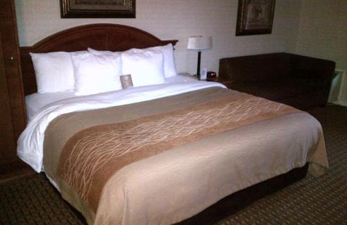 Markham Hotel | Spark By Hilton Toronto Markham