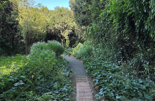 Nanyuki Cottage | Sparrow Nest Cottage: Peaceful garden oasis hidden under the slopes of Mt Kenya.