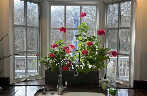 Norwalk House | Special lower holiday rate available Nov 28-Dec 15!