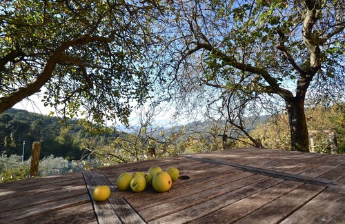 Pescia House | Spectacular Holiday Home in Pescia with Swimming Pool
