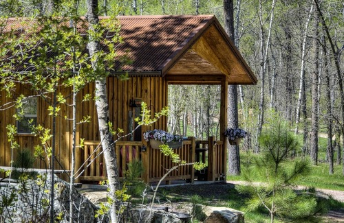 Rapid City Cabin | Spectacular setting, amenities, and centrally located to Mt. Rushmore and Custer State Park, and hiking. Wi-Fi. Excellent cell service (Verizon & ATT).A favorite cabin for honeymoons and anniversaries Private campfire. Off-season discounts. No extra