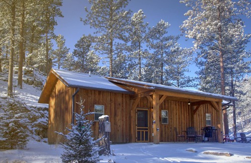 Rapid City Cabin | Spectacular setting, amenities, and centrally located to Mt. Rushmore and Custer State Park, and hiking. Wi-Fi. Excellent cell service (Verizon & ATT). Private campfire and fireplace. Off-season discounts. No extra fees.