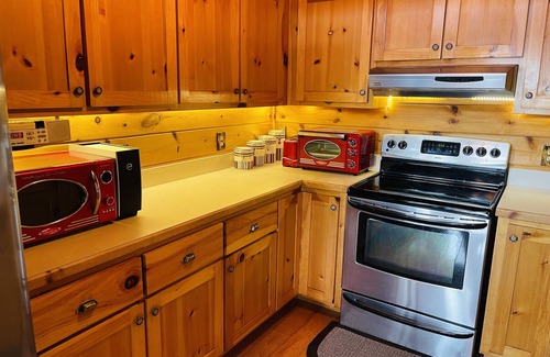 Blue Ridge Cabin | Spectacular VIEW ! Reduced spring rates! Aska /Pet friendly!