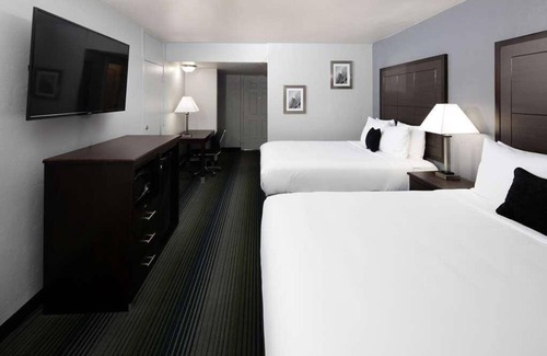 Downtown Tucson Hotel | Spend a day at Reid Park Zoo! Comfortable Accommodation in Downtown Tucson! Pool