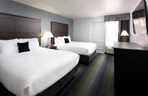 Downtown Tucson Hotel | Spend a day at Reid Park Zoo! Comfortable Accommodation in Downtown Tucson! Pool