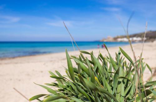 Lido Conchiglie House | Spiaggia a 200m - Terrazza Vista Mare, A-C & WiFi