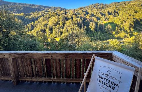 Silbertal Apartment | Spitzen Blicke – Apartments