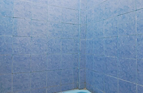 Pekanbaru Hotel | SPOT ON 91958 Flamboyan 25 Homestay Syariah
