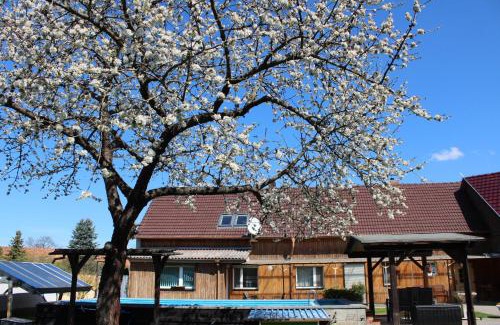 Briesensee Apartment | Spreewald Unterkünfte