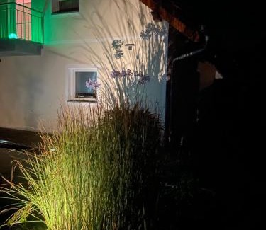 Geierswalde Apartment | Sprem0602