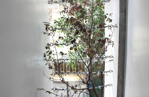 East District House | Spring Guest House