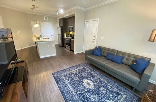 Spring Apartment | Spring Modern 1 BR King Long term fully equipped