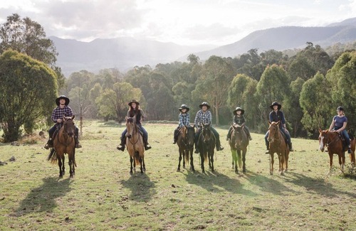 Tawonga House | Spring Spur Stay