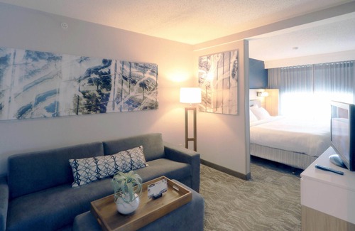 Eden Prairie Hotel | Springhill Suites By Marriott Minneapolis Eden Prairie
