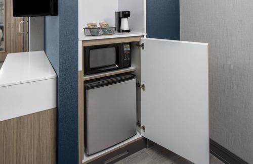 Carlstadt Hotel | SpringHill Suites by Marriott East Rutherford Meadowlands/Carlstadt