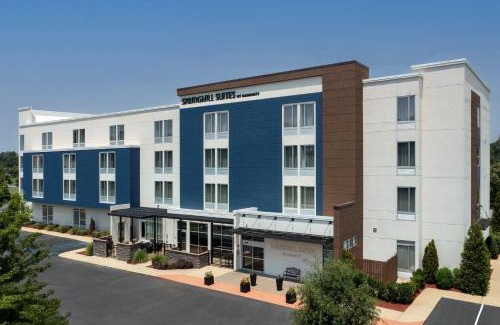 Tuscaloosa Hotel | SpringHill Suites by Marriott Tuscaloosa