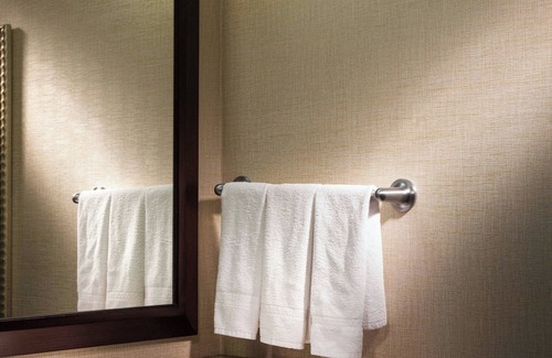 Grapevine Hotel | SpringHill Suites by Marriott Dallas DFW Airport N/Grapevine